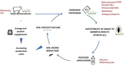 Sustainability of dairy farming in Colombia’s High Andean region
